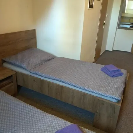Restaurace Alvi 3*