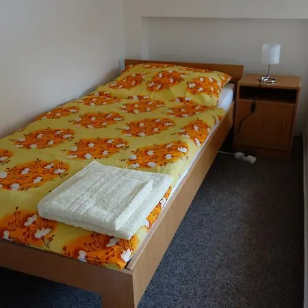Guest house Restaurace Alvi *