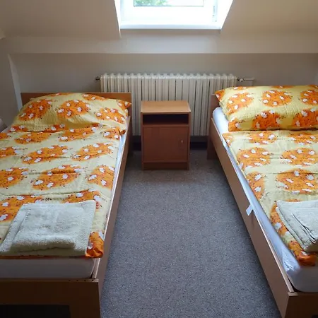 Restaurace Alvi Guest house