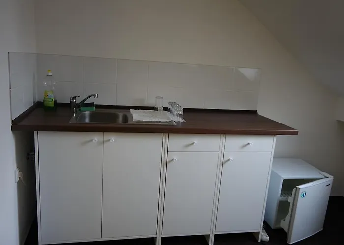 Restaurace Alvi Maison d'hôtes Ostrava
